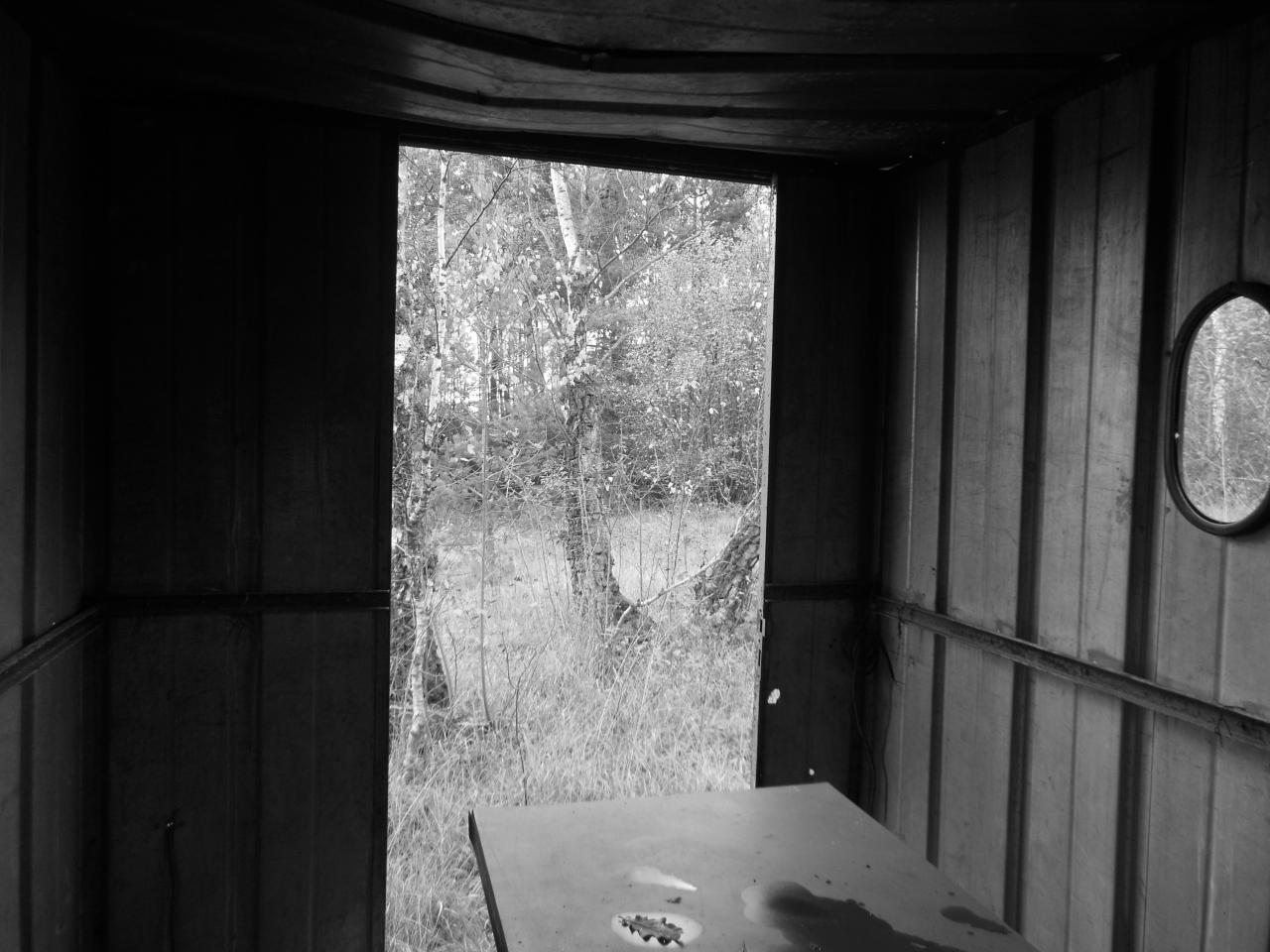 La cabane abandonnée